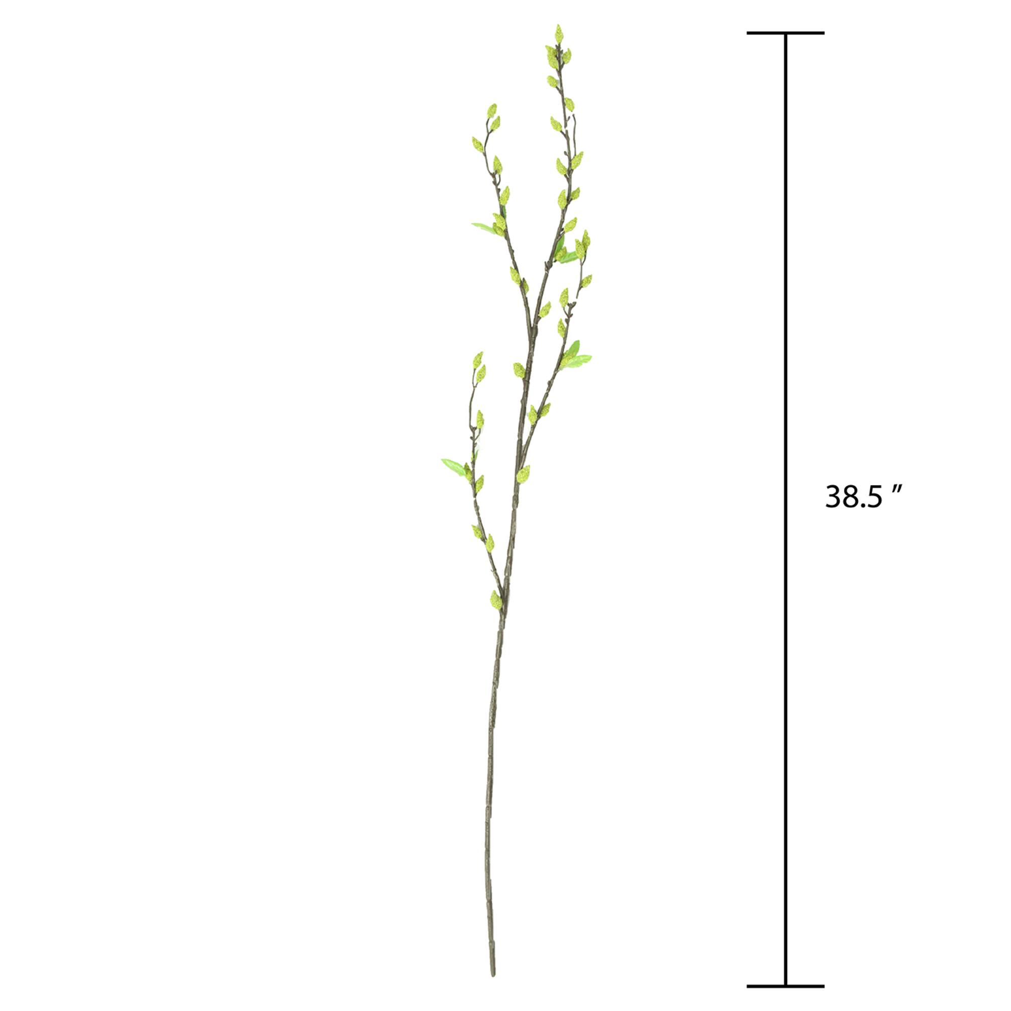 Green Willow Stem by Ashland®